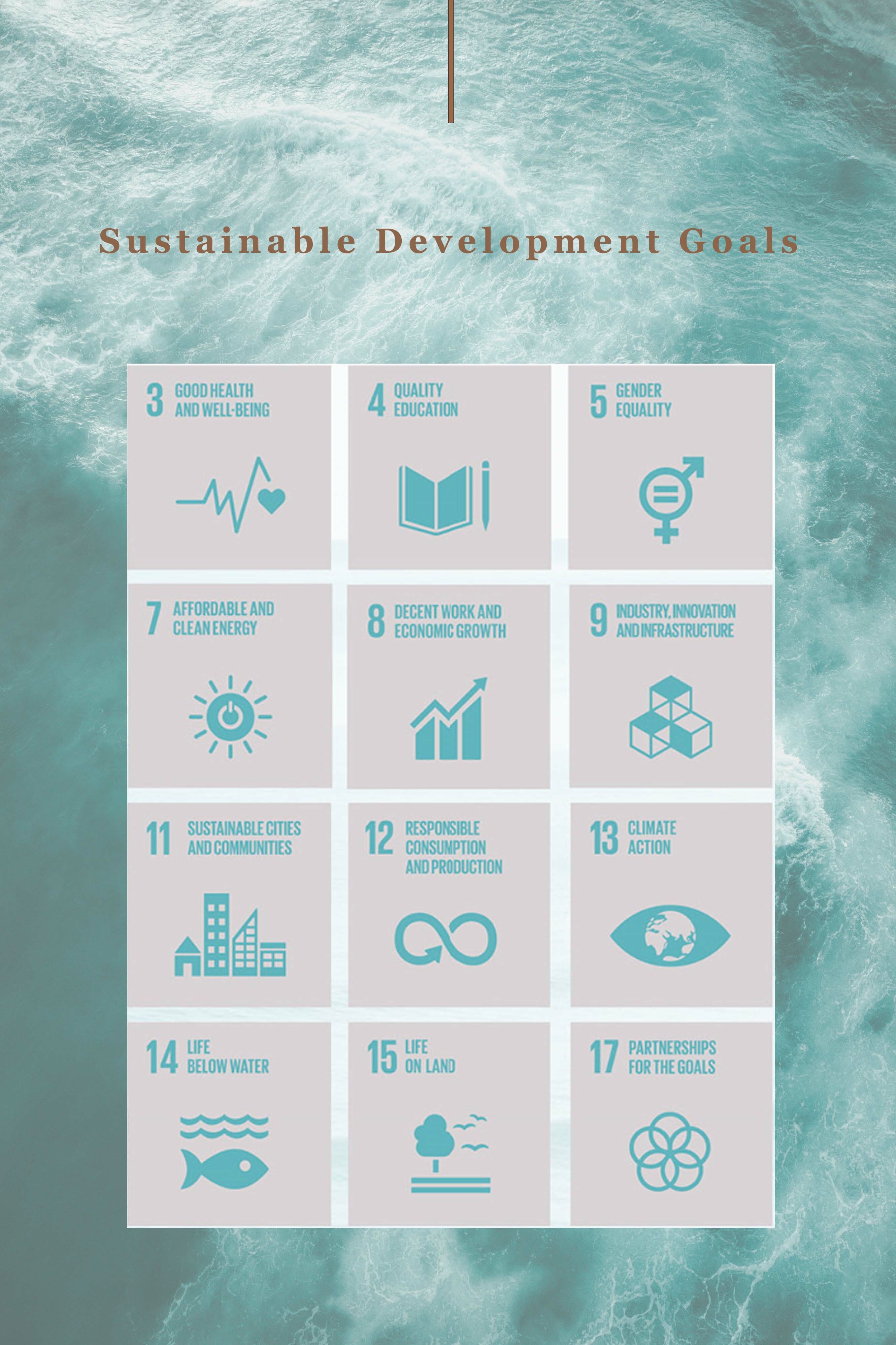 Sustainable Development Goal